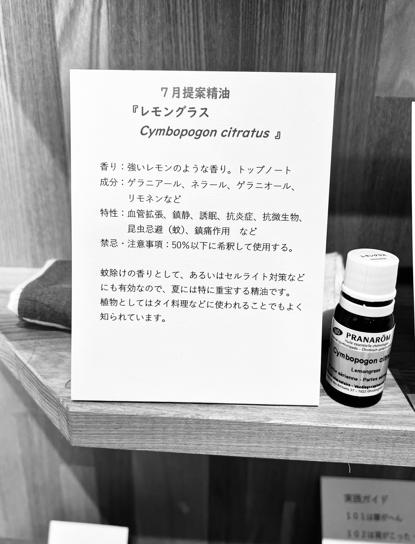 7月提案精油は、レモングラス　Cymbopogon citratus