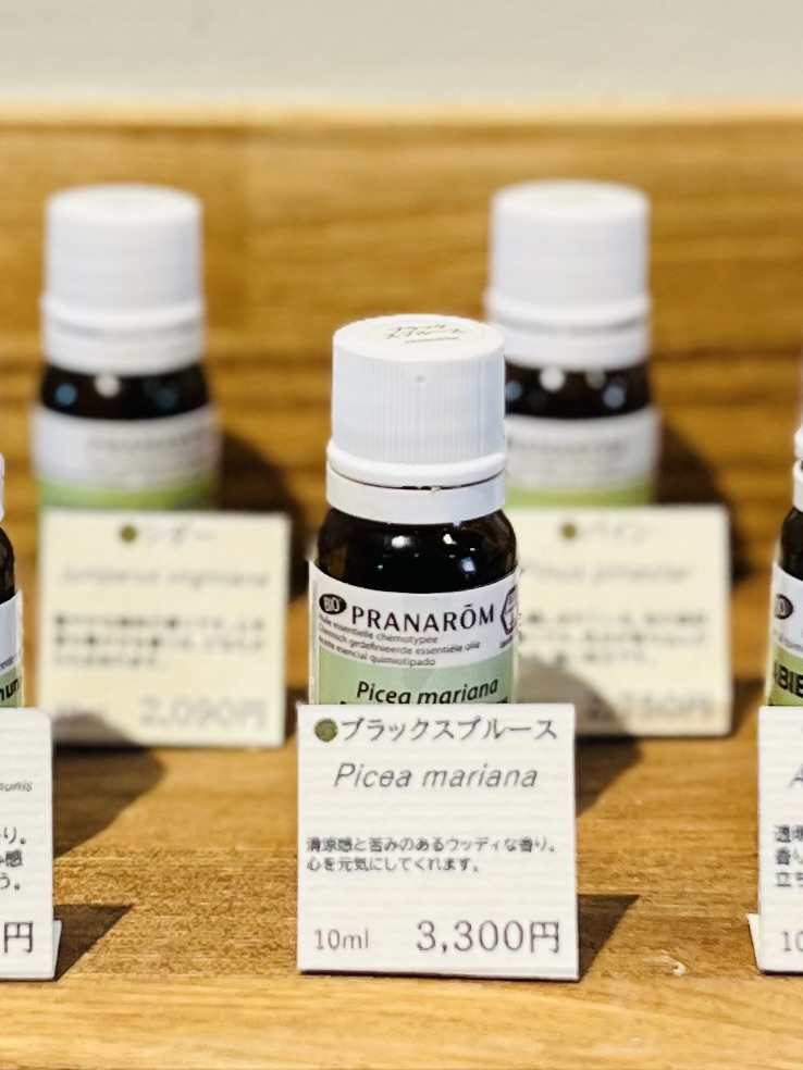 6月提案精油『ブラックスプルース　Picea mariana 』