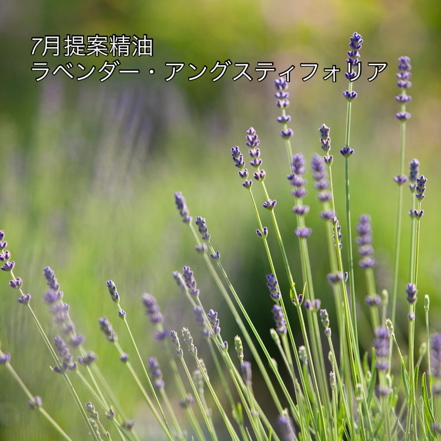 癒やしと再生の奇跡