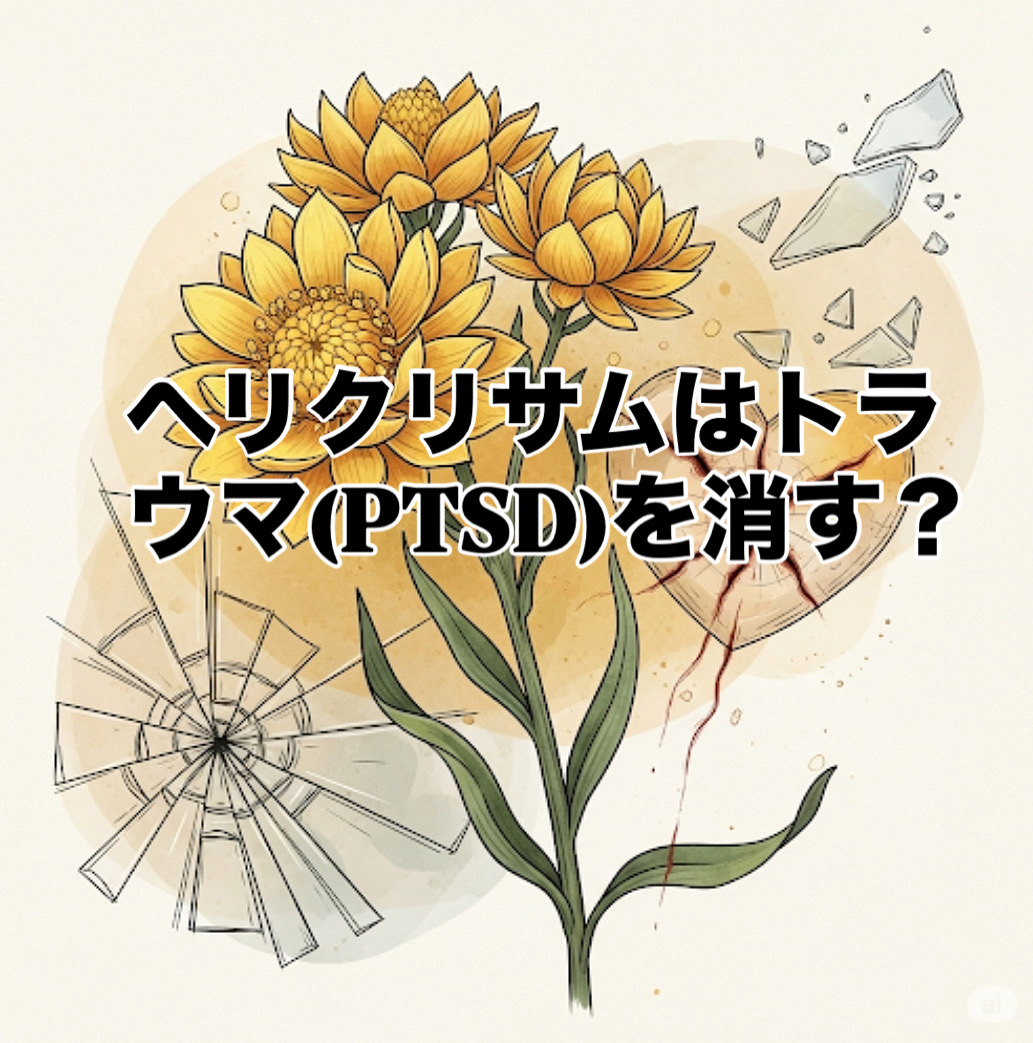 ヘリクリサムはトラウマ(PTSD)を消す？